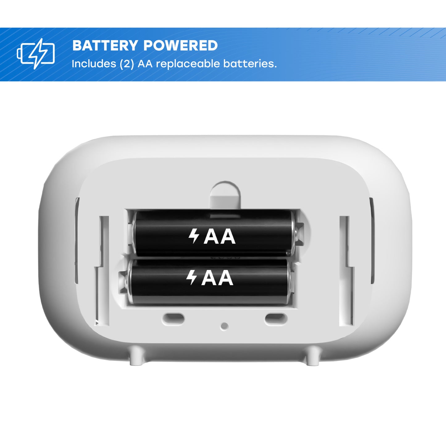 Battery Carbon Monoxide Alarm