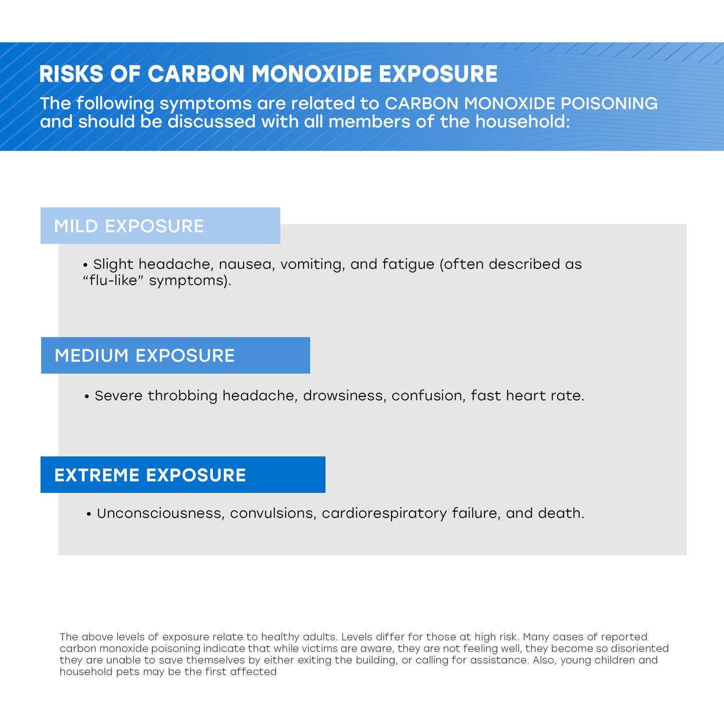 Portable Travel Carbon Monoxide Alarm Plug-in or Battery