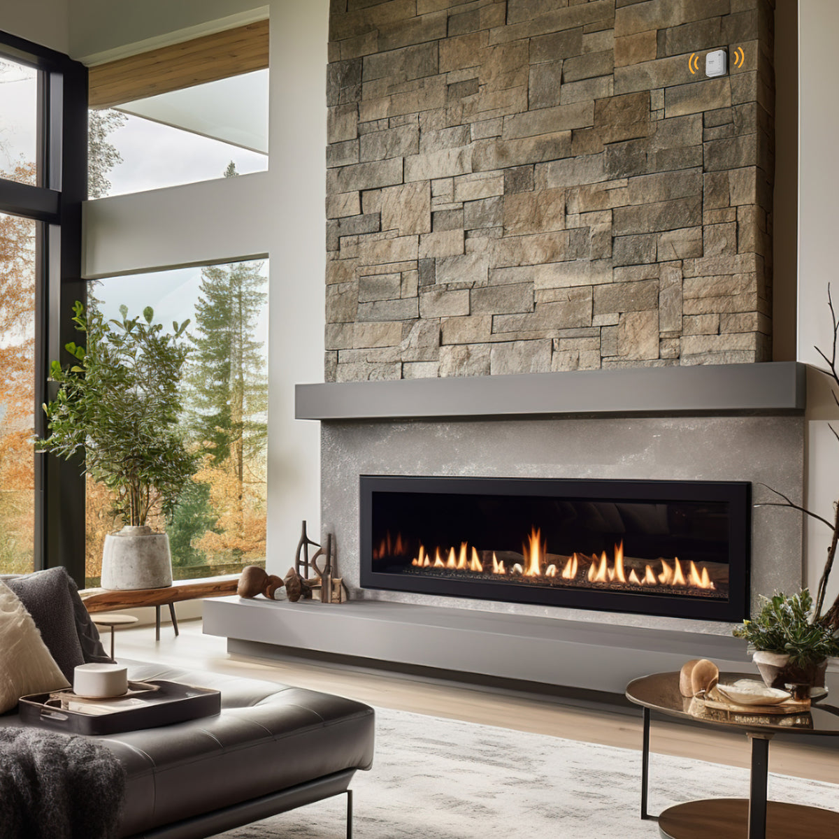 10-Year Battery Natural Gas and Carbon Monoxide Alarm
