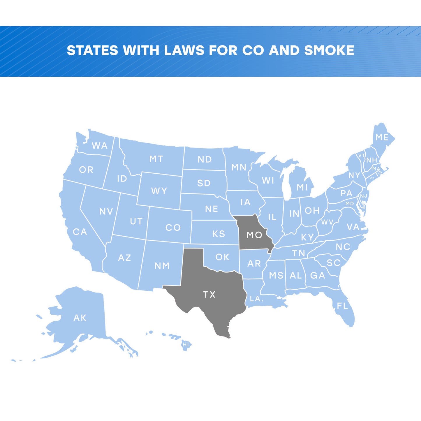 Battery Carbon Monoxide Alarm