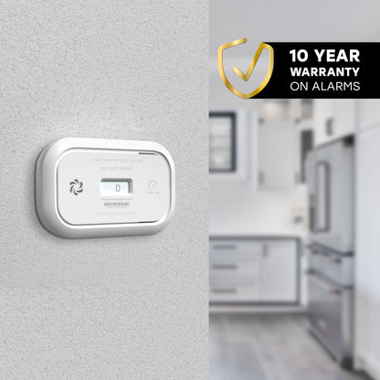Battery Carbon Monoxide Alarm