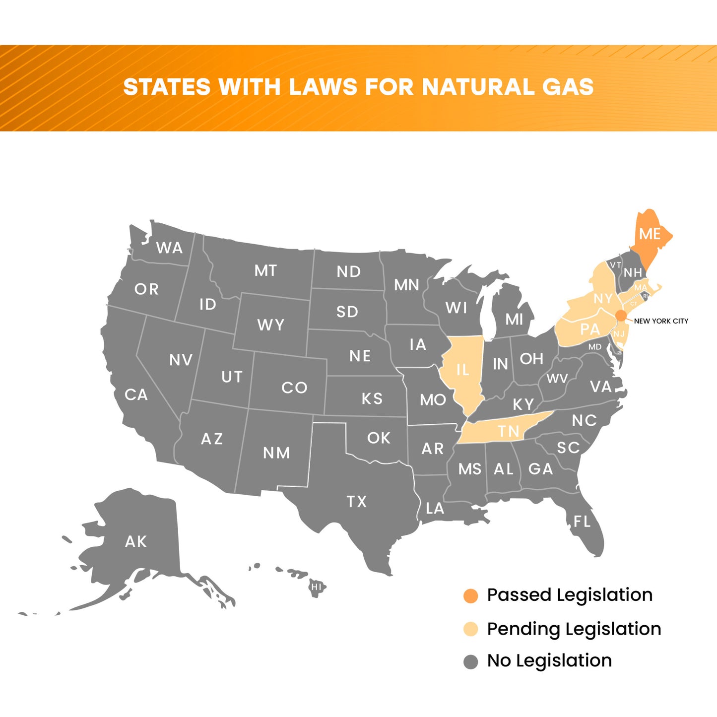 10-Year Battery Natural Gas Alarm